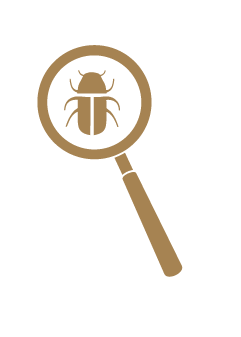 magnifying glass with bug in center