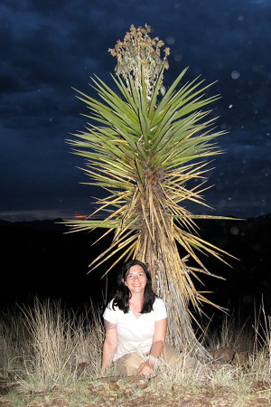 Sibyl R. Bucheli, Ph.D.