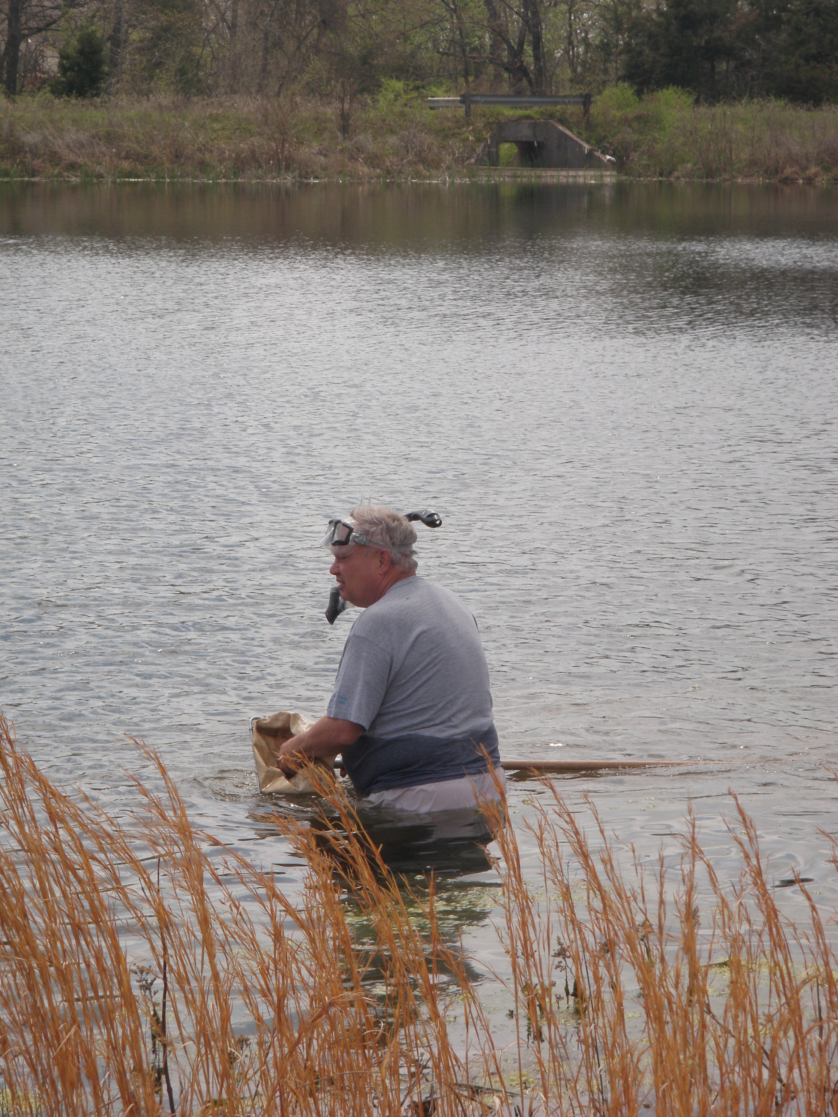 Mussel Survey2