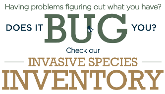 Does it Bug You - Check out Invasives Species Inventory