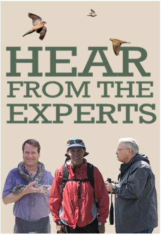 Hear From The Experts