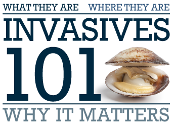 Invasives 101 Why It Matters