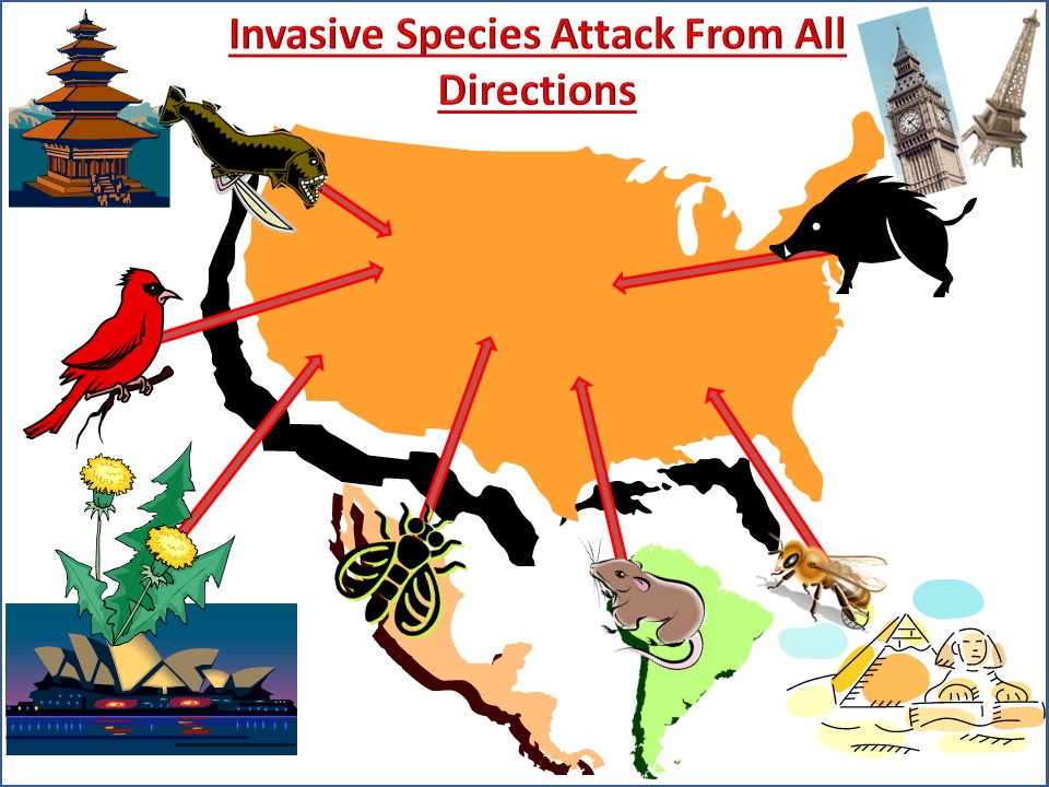 invasion